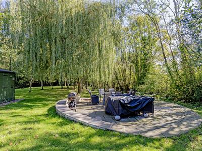 Picture 41